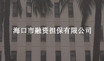 ?？谑腥谫Y擔(dān)保有限公司